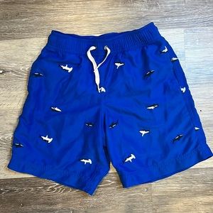 Boy’s Swim Trunks